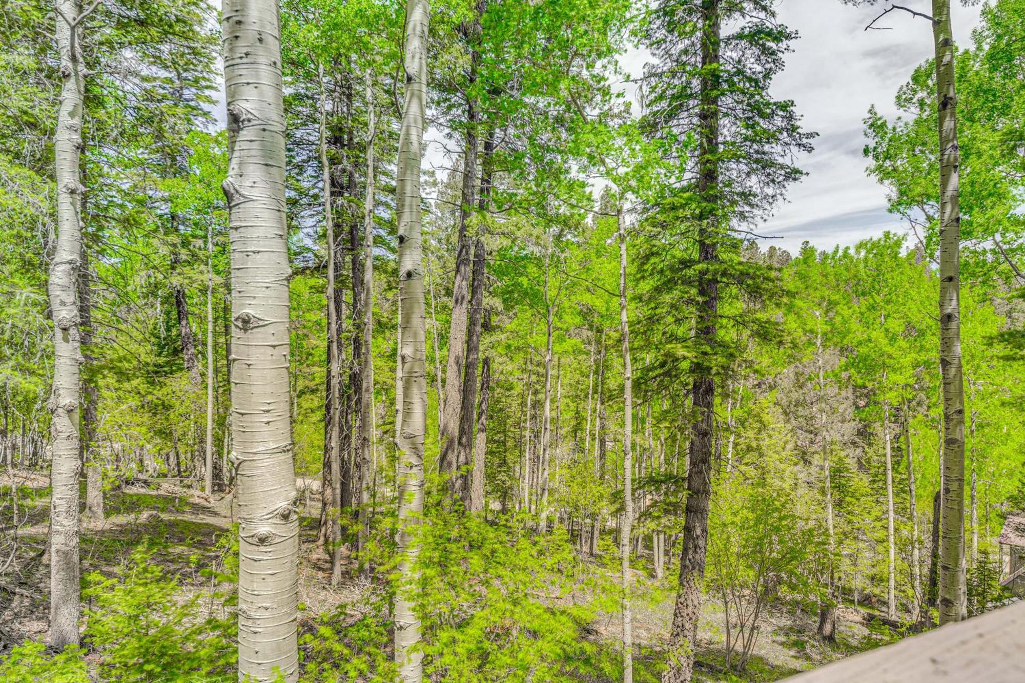 Quaint Cloudcroft Cabin With Stunning Forest Views! Екстер'єр фото
